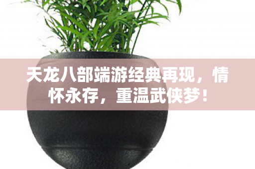 天龙八部端游经典再现图片
