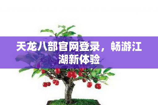 天龙八部官网登录图片