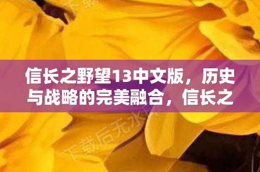 信长之野望13中文版图片