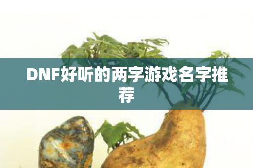DNF好听的两字游戏名字推荐图片