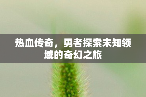 勇者探索未知领域的奇幻之旅图片