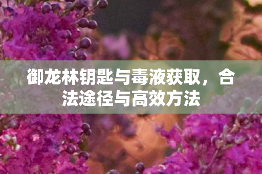 御龙林钥匙与毒液获取图片