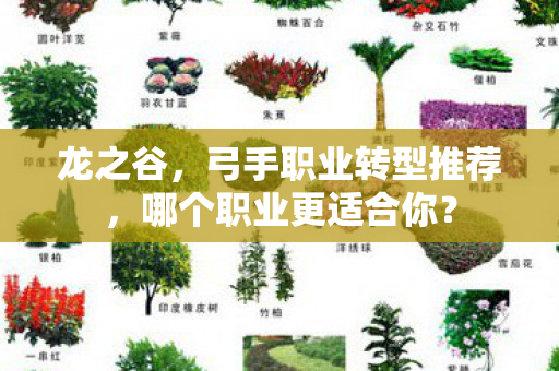 弓手职业转型推荐图片