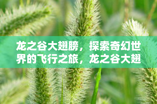 龙之谷大翅膀,探索奇幻世界的飞行之旅,龙之谷大翅膀,探索奇幻世界的飞行之旅 龙之谷大翅膀,探索奇幻世界的飞行之旅,龙之谷大翅膀,探索奇幻世界的飞行之旅