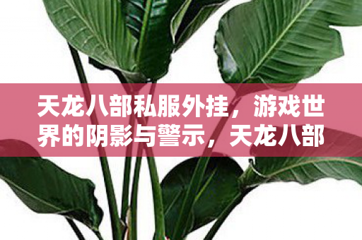 天龙八部私服外挂,游戏世界的阴影与警示,天龙八部私服外挂,游戏世界的阴影与警示 天龙八部私服外挂,游戏世界的阴影与警示,天龙八部私服外挂,游戏世界的阴影与警示