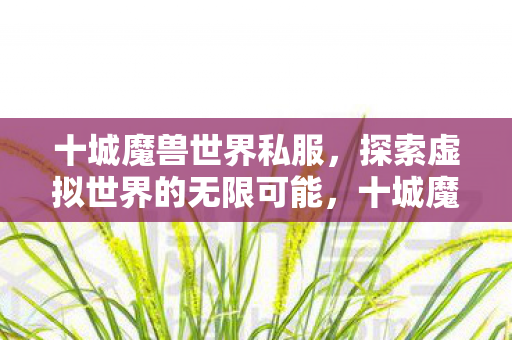 探索虚拟世界的无限可能图片