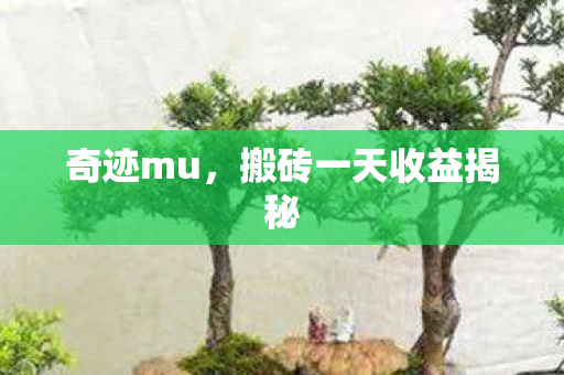 搬砖一天收益揭秘图片