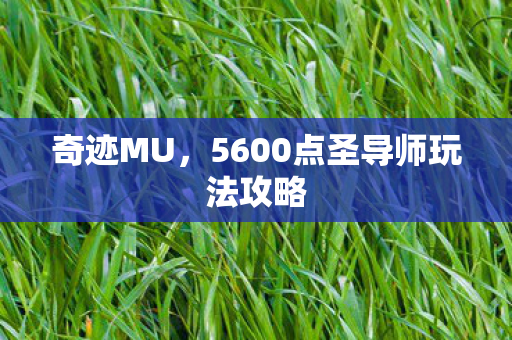5600点圣导师玩法攻略图片