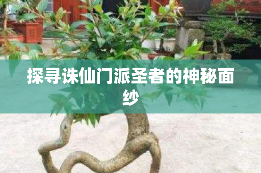 探寻诛仙门派圣者的神秘面纱图片