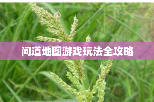 问道地图游戏玩法全攻略图片