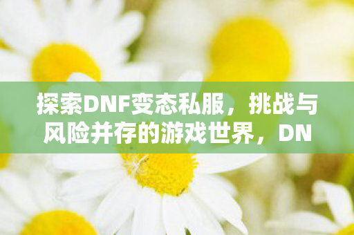 挑战与风险并存的游戏世界图片