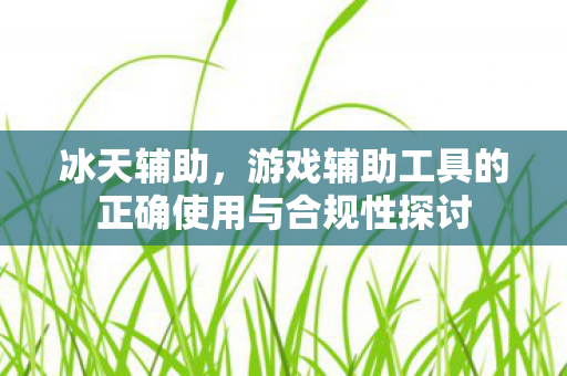 游戏辅助工具的正确使用与合规性探讨图片