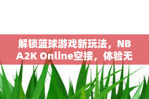 NBA2K Online空接图片
