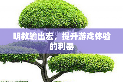 提升游戏体验的利器图片
