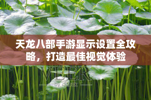 天龙八部手游显示设置全攻略图片