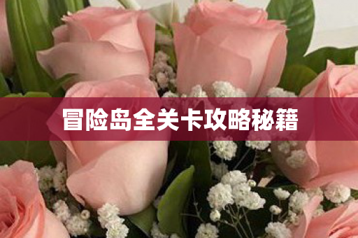 冒险岛全关卡攻略秘籍图片