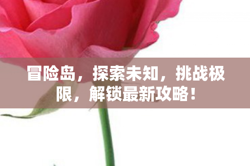 解锁最新攻略图片