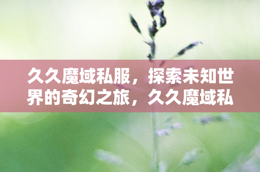 久久魔域私服，探索未知世界的奇幻之旅，久久魔域私服，奇幻之旅探索未知世界