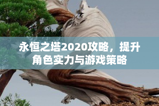 提升角色实力与游戏策略图片
