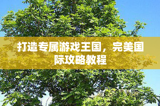 打造专属游戏王国图片