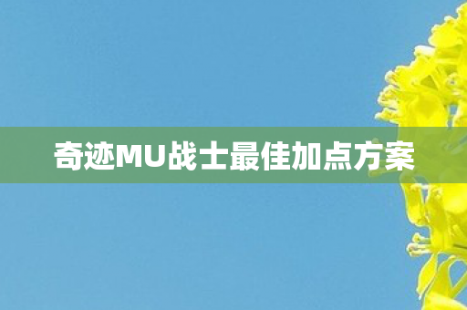 奇迹MU战士最佳加点方案图片