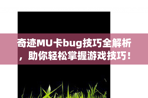 奇迹MU卡bug技巧全解析图片