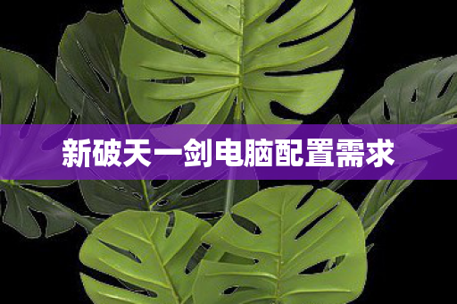 新破天一剑电脑配置需求图片