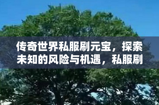 传奇世界私服刷元宝,探索未知的风险与机遇,私服刷元宝,探索传奇世界中的风险与机遇 传奇世界私服刷元宝,探索未知的风险与机遇,私服刷元宝,探索传奇世界中的风险与机遇