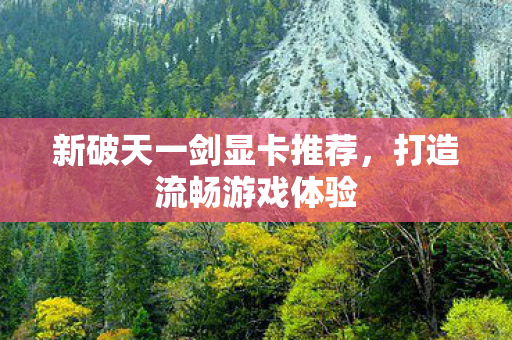 新破天一剑显卡推荐图片