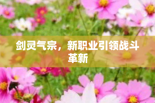 新职业引领战斗革新图片
