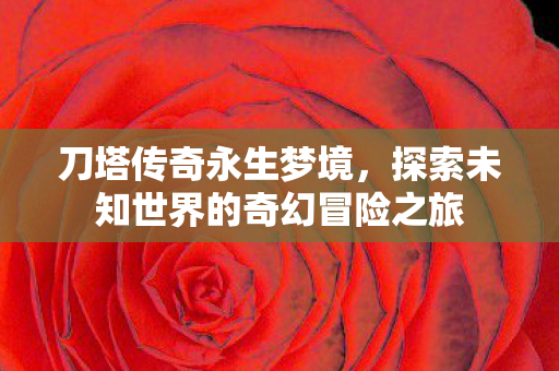 探索未知世界的奇幻冒险之旅图片