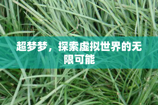 探索虚拟世界的无限可能图片