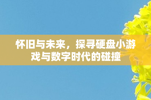 探寻硬盘小游戏与数字时代的碰撞图片