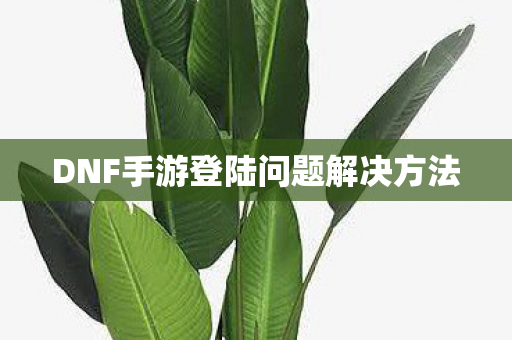 DNF手游登陆问题解决方法图片