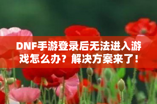 DNF手游登录后无法进入游戏怎么办图片