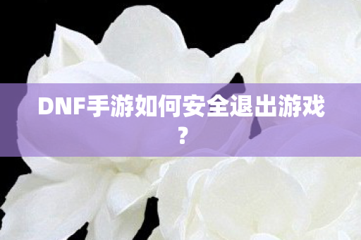 DNF手游如何安全退出游戏图片