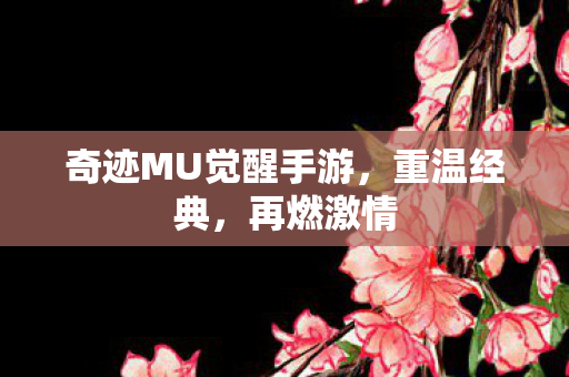 奇迹MU觉醒手游图片