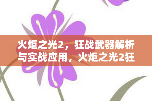 火炬之光2狂战武器深度解析与实战应用指南图片
