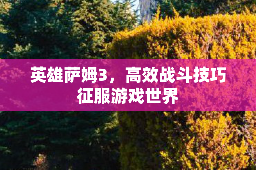 高效战斗技巧征服游戏世界图片