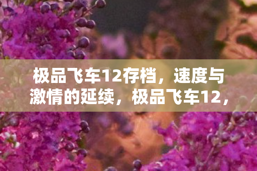 极品飞车12存档图片