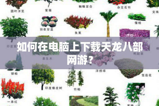 如何在电脑上下载天龙八部网游图片