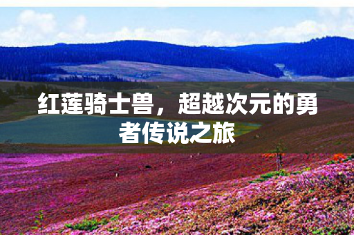超越次元的勇者传说之旅图片
