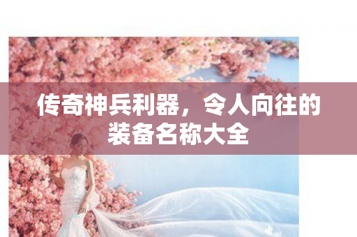 令人向往的装备名称大全图片