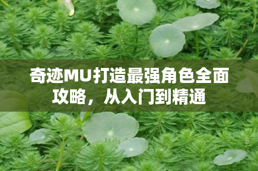奇迹MU打造最强角色全面攻略图片