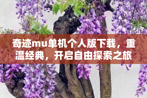 奇迹mu单机个人版下载图片