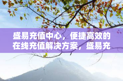 盛易充值中心，便捷高效的在线充值解决方案，盛易充值中心，打造便捷高效的在线充值体验
