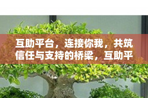 共筑信任与支持的桥梁图片