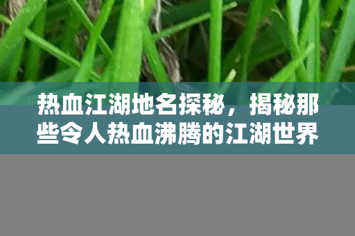 揭秘那些令人热血沸腾的江湖世界图片