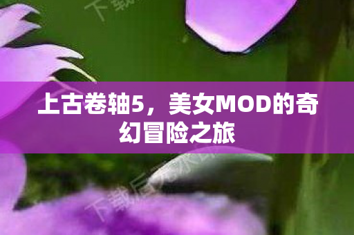 美女MOD的奇幻冒险之旅图片