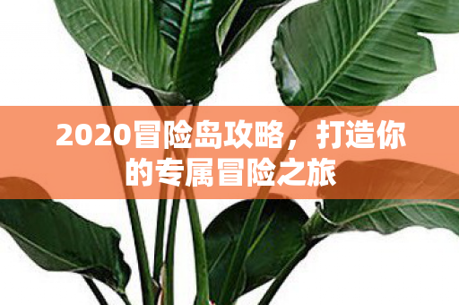 打造你的专属冒险之旅图片